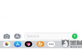 車(chē)貸按揭逾期催收模板：高效催收策略解析