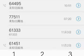 星宿討債方有錢還是還債方：揭開債務(wù)糾紛中的財富之謎