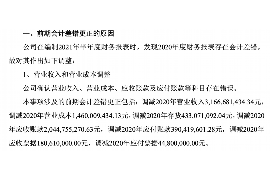 討債導致工程停工：探討債務糾紛對工程項目的影響