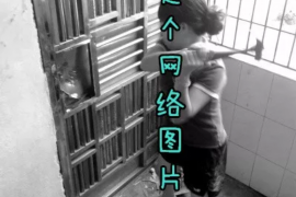 吳軍微博討債事件后續(xù)：揭秘網(wǎng)絡(luò)輿論的力量與影響