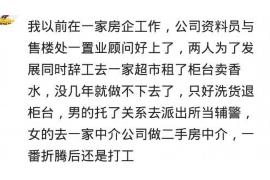茶杯犬怎么討債的？