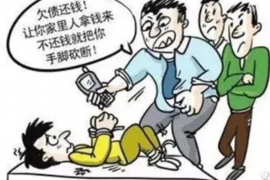陽光信保催收電話——揭秘高效債務(wù)回收之道
