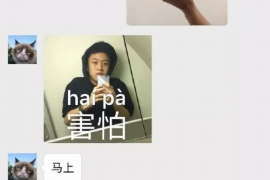 蠻不講理的人討債：如何應(yīng)對(duì)與法律維權(quán)
