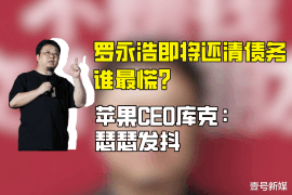 錯那收賬公司收費(fèi)標(biāo)準(zhǔn)：揭秘專業(yè)收賬服務(wù)的價格構(gòu)成