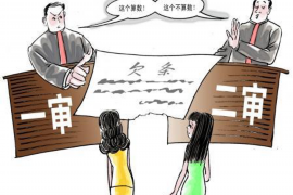 沒借條上門討債：法律風(fēng)險(xiǎn)與應(yīng)對(duì)策略