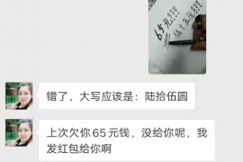 老鼠討債的后果：揭秘金融欺詐背后的驚人真相