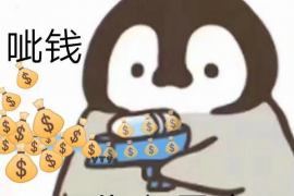 信用卡催收的風險：揭秘行業(yè)痛點與應對策略