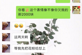 網(wǎng)貸怎么催收老賴：高效策略與法律途徑