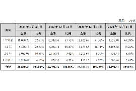瑪沁收債公司哪里找？揭秘債務(wù)催收服務(wù)的選擇指南
