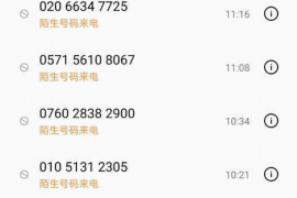 肇慶清數(shù)公司排名：揭秘行業(yè)翹楚，助力企業(yè)數(shù)據(jù)驅(qū)動發(fā)展