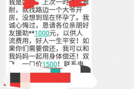 催收人員看到的資料：揭秘債務(wù)催收背后的信息世界