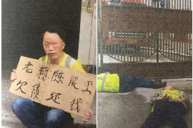 貸款催收流程問(wèn)題：解析與應(yīng)對(duì)策略