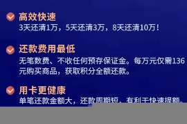 順豐經(jīng)營(yíng)貸人工催收：揭秘金融服務(wù)中的催收之道