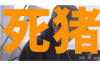 滴水貸西安催收公司電話：揭秘催收流程與注意事項(xiàng)