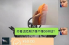 鑫正擔(dān)保公司催收流程：高效、合規(guī)、人性化