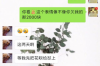 討債者破壞債務(wù)人：探討債權(quán)債務(wù)關(guān)系中的法律邊界